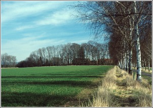 Plateau Maerz 2003
