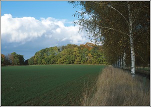 Plateau Oktober 2002